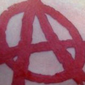 Meet your Posher, Nina